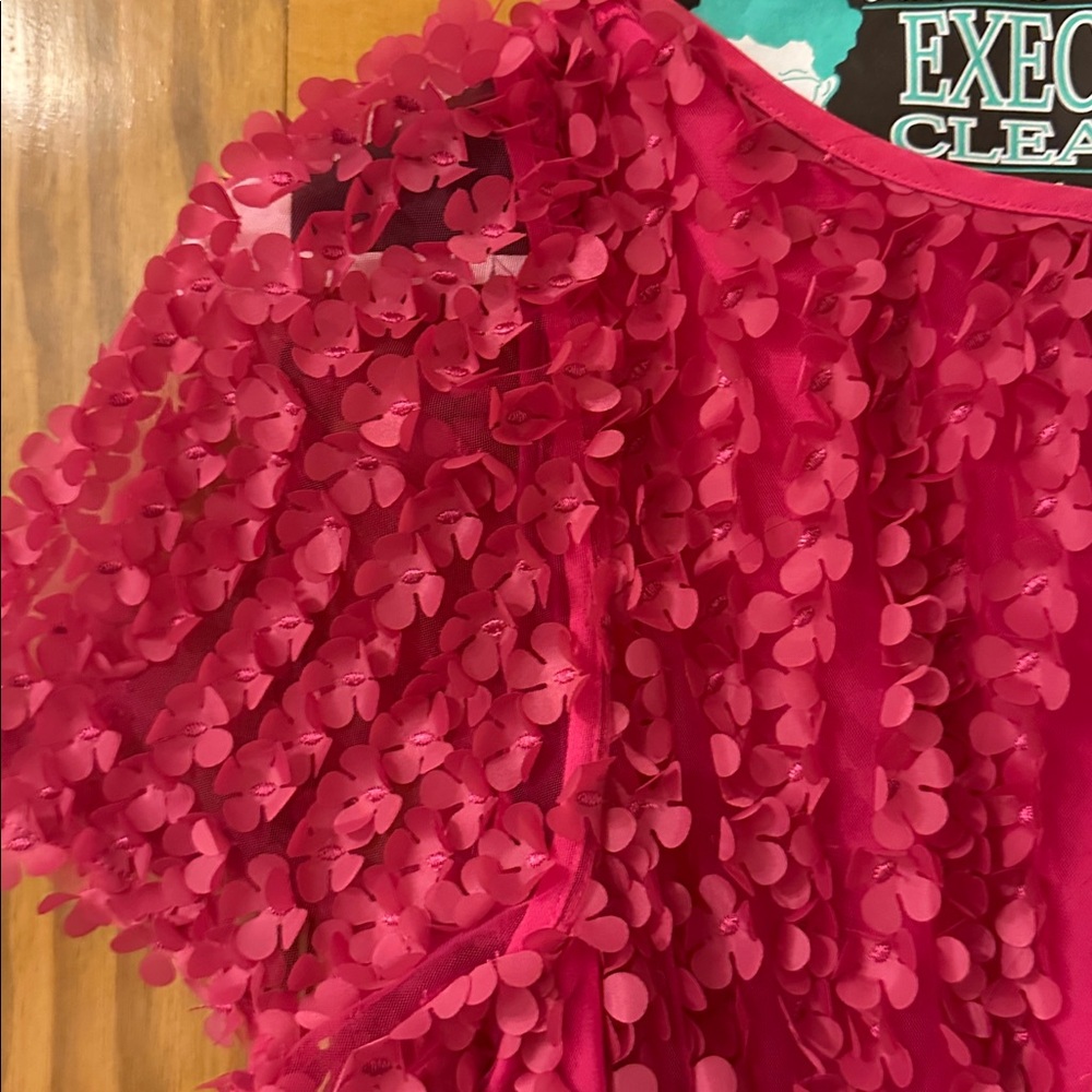 Anthropologie Somerset Appliqué  Textured Mini Dress- EUC!! - Picture 9 of 11